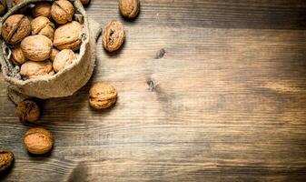 Walnuts in the old sack. photo