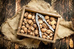 nueces en el caja con el cascanueces. foto