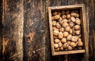 nueces en el caja. foto