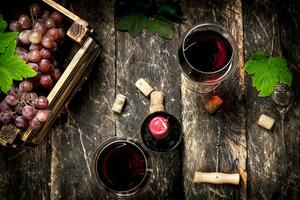 Wine background. Red wine with a box of grapes. photo