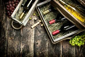 Wine background. Bottles of red and white wine in old boxes. photo