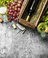 Wine background. Red and white wine from fresh grapes. photo