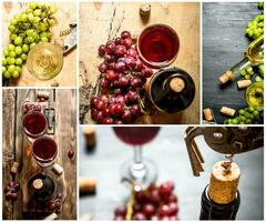 comida collage de rojo y blanco vino. foto