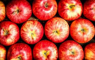 Fresh red apples. photo