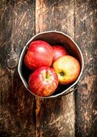 Red apples in an old bucket. photo