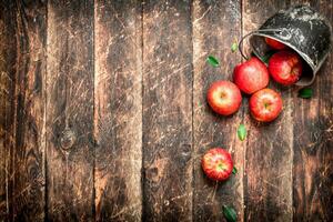 Red apples in an old bucket. photo