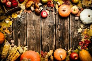 Frame of autumn vegetables and fruits. photo