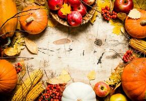 Frame of autumn vegetables and fruits. photo