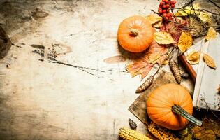 Autumn vegetables with an old book. photo