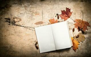 Old books and autumn leaves. photo