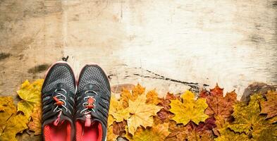 Sneakers on autumn leaves. photo