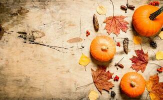 Pumpkin with autumn leaves and fir cones. photo