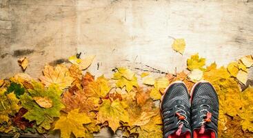 Sneakers on autumn leaves. photo