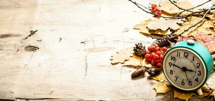 Old alarm clock with autumn leaves , cones and berries photo