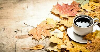otoño estilo. un taza de caliente café con arce hojas. foto