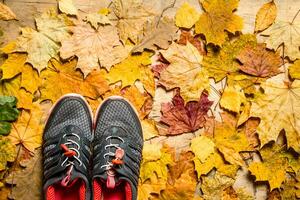 Sneakers on autumn leaves. photo