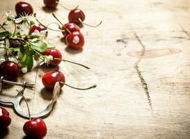 Red cherry and metal tool for cherries. photo