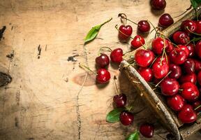 basket of red cherry and leaves . photo