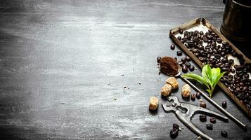 Fresh roasted grain coffee with nippers for sugar. photo