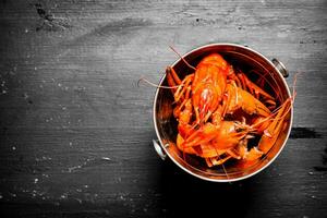 Boiled crawfish in a metal bucket. photo