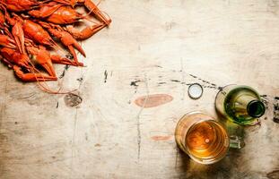 Fresh boiled crawfish with beer. photo