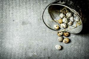 Quail eggs with hay in the old pot. photo