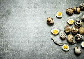 The quail eggs. photo