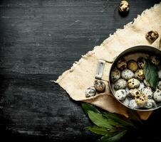 Quail eggs in a saucepan photo