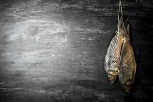 Raw fish hanging on a rope. photo