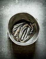 Sprat in the old pot. photo