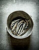 Sprat in the old pot. photo