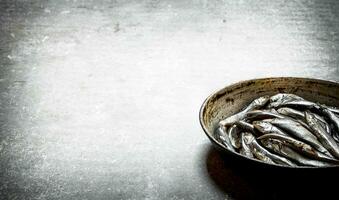 Sprat in the old pan. photo