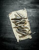 Sprat on the old fabric. photo