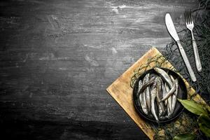 Sprat Bay leaf in a fishing net. photo