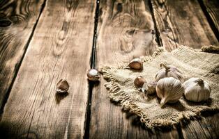 Garlic on a old sack. On wooden background. photo