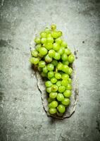 Branch of white grapes. photo