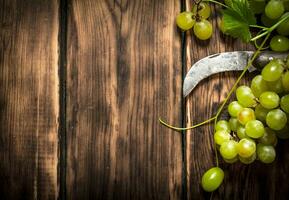 White grapes with an old knife. photo