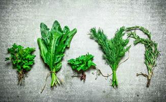 Bundles of different herbs. photo