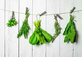 Different herbs on a string. photo