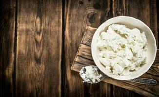 Fresh cottage cheese in a bowl . photo