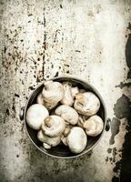 Fresco hongos en un antiguo maceta. en rústico antecedentes. foto