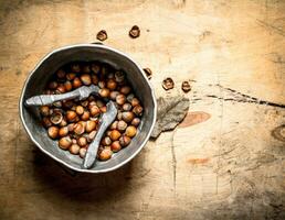 Hazelnuts in the old pot. photo