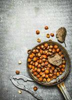 The hazelnuts in an old pan. photo