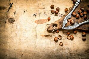 Hazelnuts with Nutcracker on the Board. photo