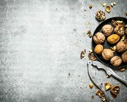 Walnuts in bowl with Nutcracker. photo