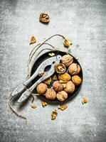 Walnuts in bowl with Nutcracker. photo