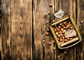 Hazelnuts in a basket with dry leaves. photo