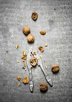 Walnuts with Nutcracker. photo