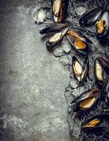 Fresh clams with fishing net and ice. On stone table. photo