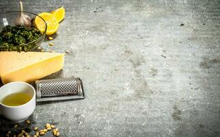 Ingredients for pesto. photo